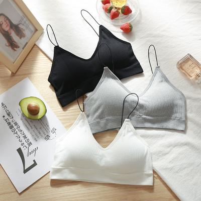 China 2021 new design teen seamless fancy bra yoga sports cotton bralette sports seamless triangle seamless bra for sale