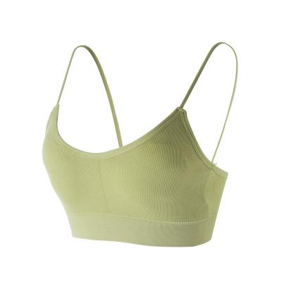 China 2021 Teenage Seamless Sports Seamless Croptop Ins Push Up Bralette New Design Condole Belt Bra for sale