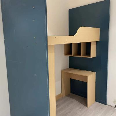 China Modern Brand New Custom Furnished Comfort Sleeping Capsule Bed Double Bunk Student Apartment Bed for sale