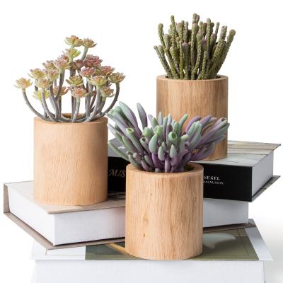 China Office Outdoor Office Faux Succulents Plants Home Decor Wooden Artificial Wonderful Eco-friendly Potted Succulents For Sale for sale