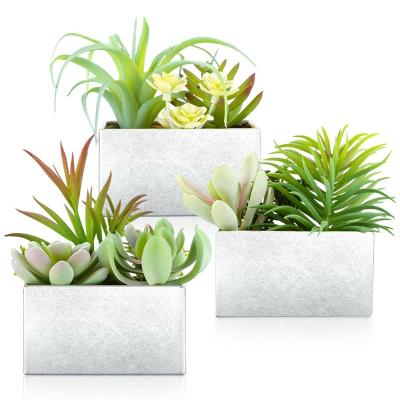 China Custom Mini Plastic Faux Succulents Plants Eco-friendly Houses Decoration Artificial Succulent Plants Iron Potted Holiday Birthday Gifts for sale