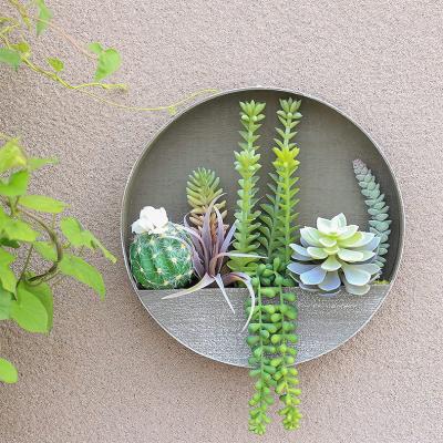 China Unique All Over Design Faux Succulents Cactus String Of Beads With Wall Hanging Wooden Planters Pot Succulent Set for sale