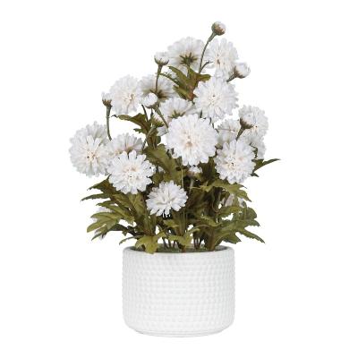 China Immortal And Eco-friendly Plants Outdoor And Indoor Artificial Home Decor Fuax Flowers White Marigold Charm On Sale for sale