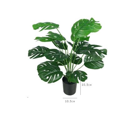 China Factory Price Immortal Turtle Artificial Green Plant Small Pot Office Decor Back Bonsai Simulated Plants Simulation Ornamental Monstera for sale