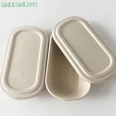 China Biodegradable Fast Food Viable Disposable Lunch Box Sustainability Bagasse Takeout Food Container With Lid for sale