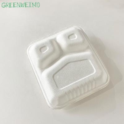 China Sustainable Wholesales Sugar Cane Bagasse Disposable Take Out Biodegradable Food Container With Lids For Food for sale