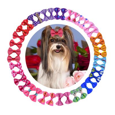 China Viable Hairpin Various Colors Pet Hair Clip For Dog Puppy Pet Accessories for sale