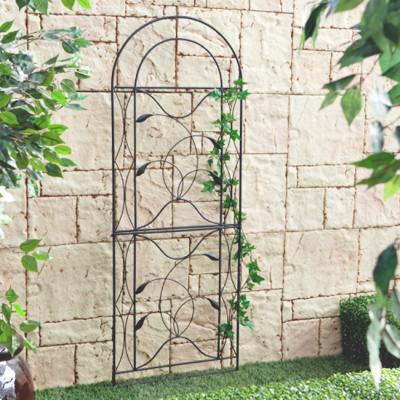 China Home & Garden & Park Plant Metal Garden Climbing Trellis For Clmibing Flowers for sale