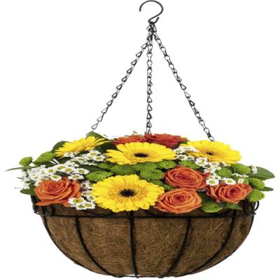 China Flower Planting Wire Flower Hanging Basket for sale