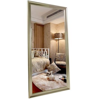 China Art Decor Cheap New Product Modern Plastic Framed Silver Floor Mirror Floor Mirror For Home Decoration for sale