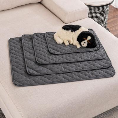 China Amazon Stocked Hot Selling Waterproof Mat Cover Blanket Cat Dog Puppy Sofa Reusable Pet Furniture Protector for sale