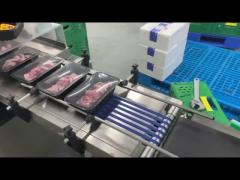 Automatic Flat Labeling Machine