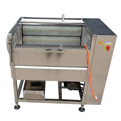 China Cheap Vegetable Brush Roller Root Vegetable Fruit Machine Cassava Ginger Peeler Washing And Peeling Machine for sale