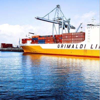 China Sea Shipping Agent Dubai Custom Clearance FCL LCL Sea Freight Forwarder China to UAE Shipping Supplies for sale