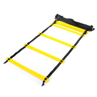 China PP+nylon Strap Price Nice Type New High Quality Durable Using Various Gear Sports Agility Ladders for sale