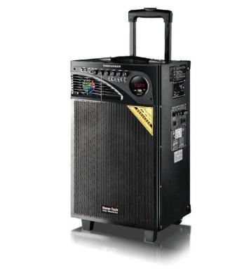 China 10 Inch Bass Rechargeable Trolley Speaker , Usb Powered Portable Speaker On Wheels for sale