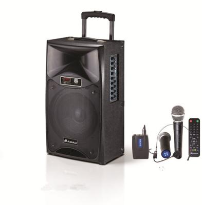 China Single 12 Inch Rechargeable Portable Trolley Speaker / Bluetooth Powered Pa Speakers for sale