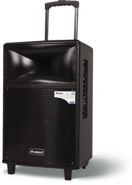 China Portable PA Rechargeable Trolley Speaker Sound System For Instrument / Advertising for sale