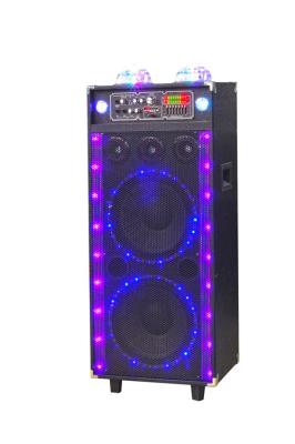 China 120 Watt-tragbarer Mikrofon-Batterie-Bluetooth-Sprecher mit Disco-Licht und Mic-Input zu verkaufen