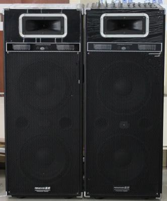 China Dual 10 Inch Wireless PA Speakers , Bluetooth DJ Party Speaker With Equalizer for sale