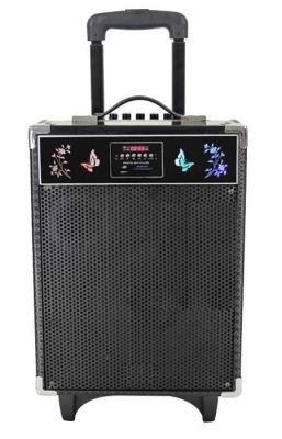 China 10 Inch Bluetooth Portable Speaker System With Wireless Microphone / Mic Input for sale