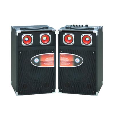 China Single Pro Audio Portable Bluetooth PA Speakers With Led Tweeter / SD Card for sale