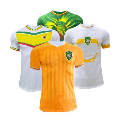 중국 2023-2024 Africa Cup Jersey Lightweight Twill / Plain Pattern Soccer Team Jersey 판매용