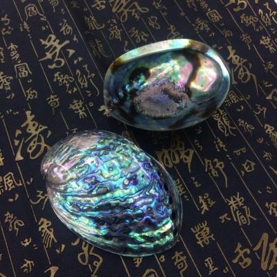 China Shell Polished Clam Natural Large Abalone Shell For Jewelry Storage Soap Box Decoration for sale