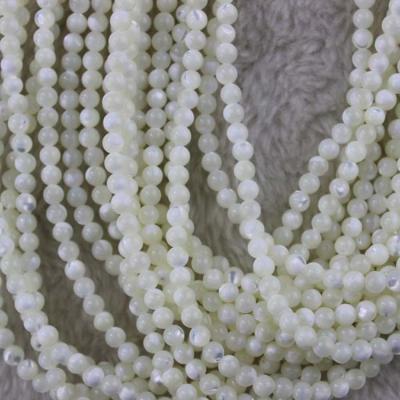 China Shell 15inches Per Natural White Sea Shell Round Loose Strand Trochus Beads For Handmade Jewelry Making DIY for sale