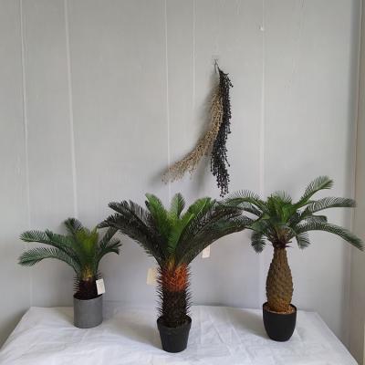 China Plants Factory Direct Sell Artificial Palm Trees Eco - Friendly UV Proof Eco - Friendly for sale