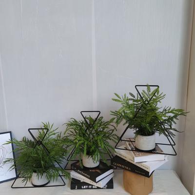 China Eco-friendly Cheap Plastic Bonsai Plants Fern Leaves Asparagus Small Bonsai Decorative Art Hotel Iron Home Decor Artificial Plants For Shop for sale