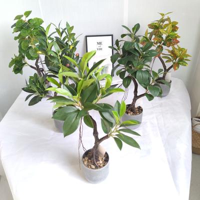 China Eco-friendly Office Decoration Fake Xinyuan Artificial Flowers Potted Plants And Green Plants for sale