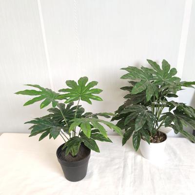 China Real Touch Plant Eco-friendly Different Size Faux Plastic Table Potted Plant For Office Decor for sale