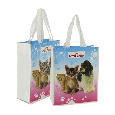 China Reusable Custom Printed Pet Food Delivery Recycled Laminated PP Woven Shopping Bags Eco Friendly for sale