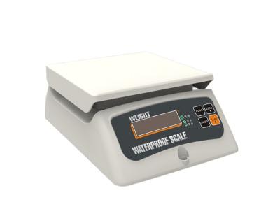 China Comparator Weighing MERC SHRIMP Scale for sale