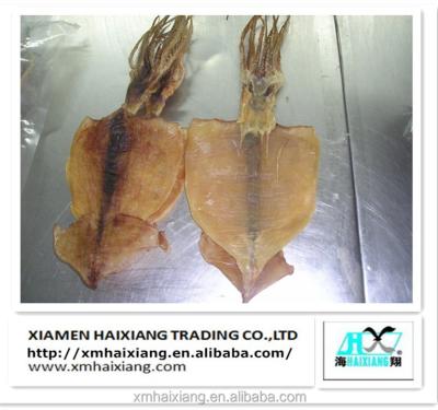 China Low fat dry squid for sale for sale