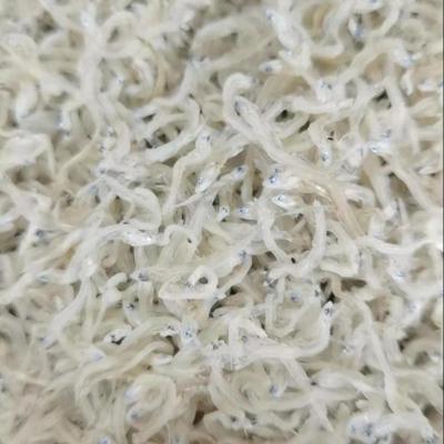 China Dried dry white anchovy fish chirimen for sale