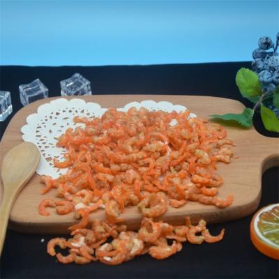 China Best Dried Selling Chinese Fresh Frozen Delicious Dried Shrimp for sale