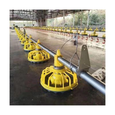 China Poultry Farm Chicken Farm Feeding Chicken House Automatic Broiler Floor Raising Equipment for sale