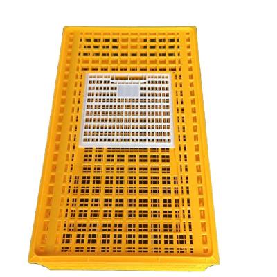 China Plastic Pigeon Chicken Training Box Carry Cage Pigeon Bird Trap Cage PH-178 Easy Cleaning Plastic Cage for sale