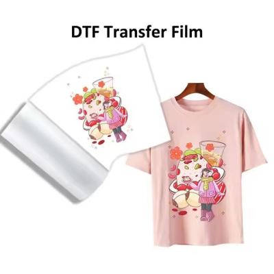 China Dubbele zijde 30cm 60cm DTF filmrol 75mic Pet film voor warmteoverdruk Te koop