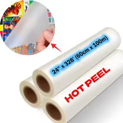 China 75 micron 30 cm DTF Transfer Film Matte en Cold Peeling Direct naar Film Te koop