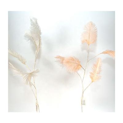 China Use eco-friendly dyeing stuff China feather product factory ostrich feather to wedding decoration motorized look to play with for sale