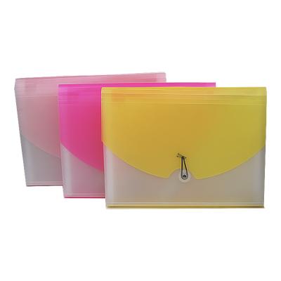 China Factory Size A4 PP Stationery 100 Pocket Folder Wholesale Clear Document Folder Clear Color Plastic Box Folder for sale