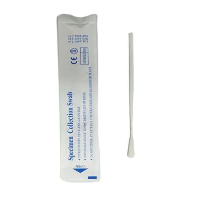 China New Design Professional Flocking Oral Swab Sterile Type Specimen Collection Swab for sale