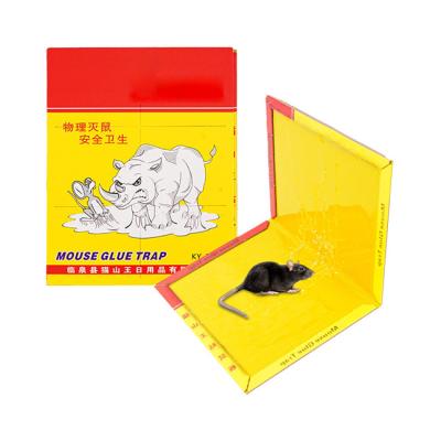 China Hot Selling Customization Rat Glue Cardboard Board TRAPS Mouse Killer Cardboard Packing Cardboard Mouse Glue Sticky Trap for sale