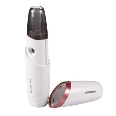 China Other Home Use Portable Nano Mist Sprayer Nano Mist Vaporizador Facial Cream Moisturizer Face Use Mist Mist for sale