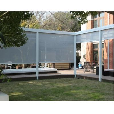 China Modern Design High Quality Outdoor Indoor Windproof Roller Shade for sale