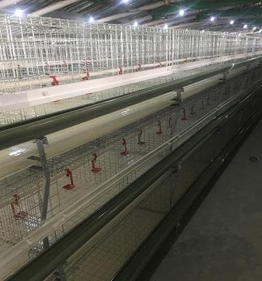 China ML-3 Multifunctional Chicken Cage Layer Poultry Farm Poultry Cage Battery Layer Chicken for sale