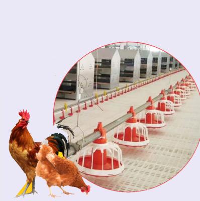 China Poultry Farm Chicken Feeding Line Automatic Feeding System Poultry Farm Nipple Drinking System for sale